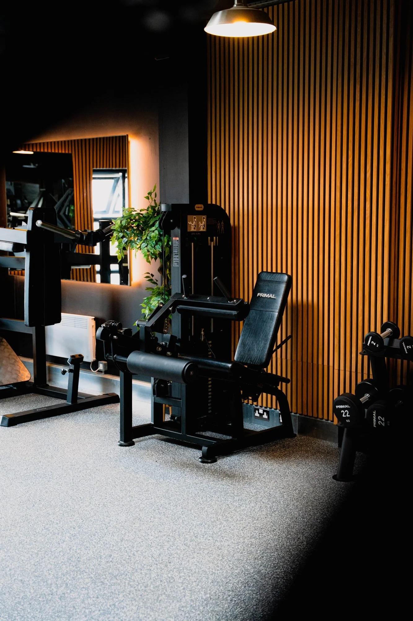 Leg curl machine in front of the copper slat wall at Physique Pro Gosforth