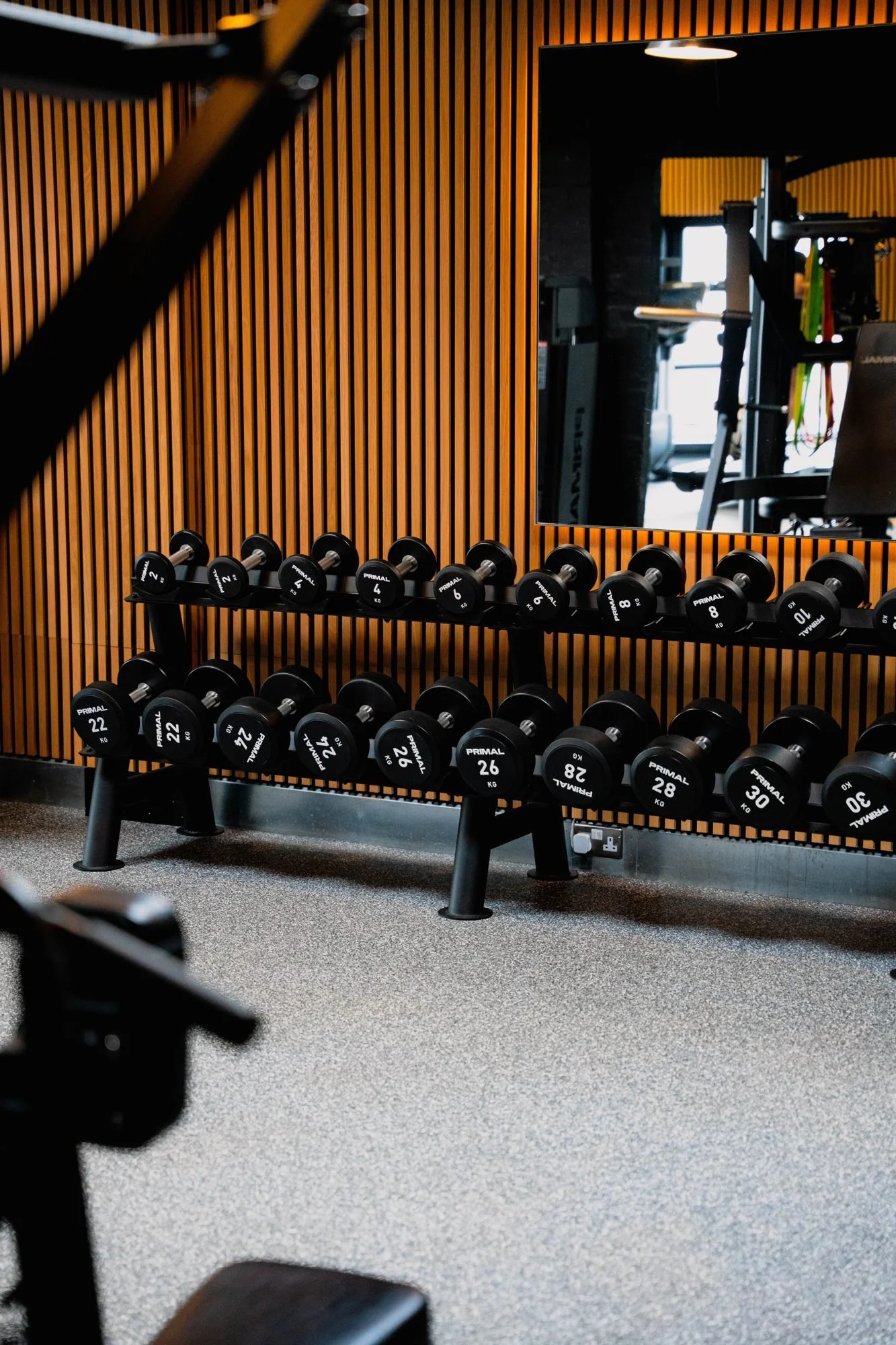 Dumbbell rack against the slatted wall at Physique Pro Gosforth
