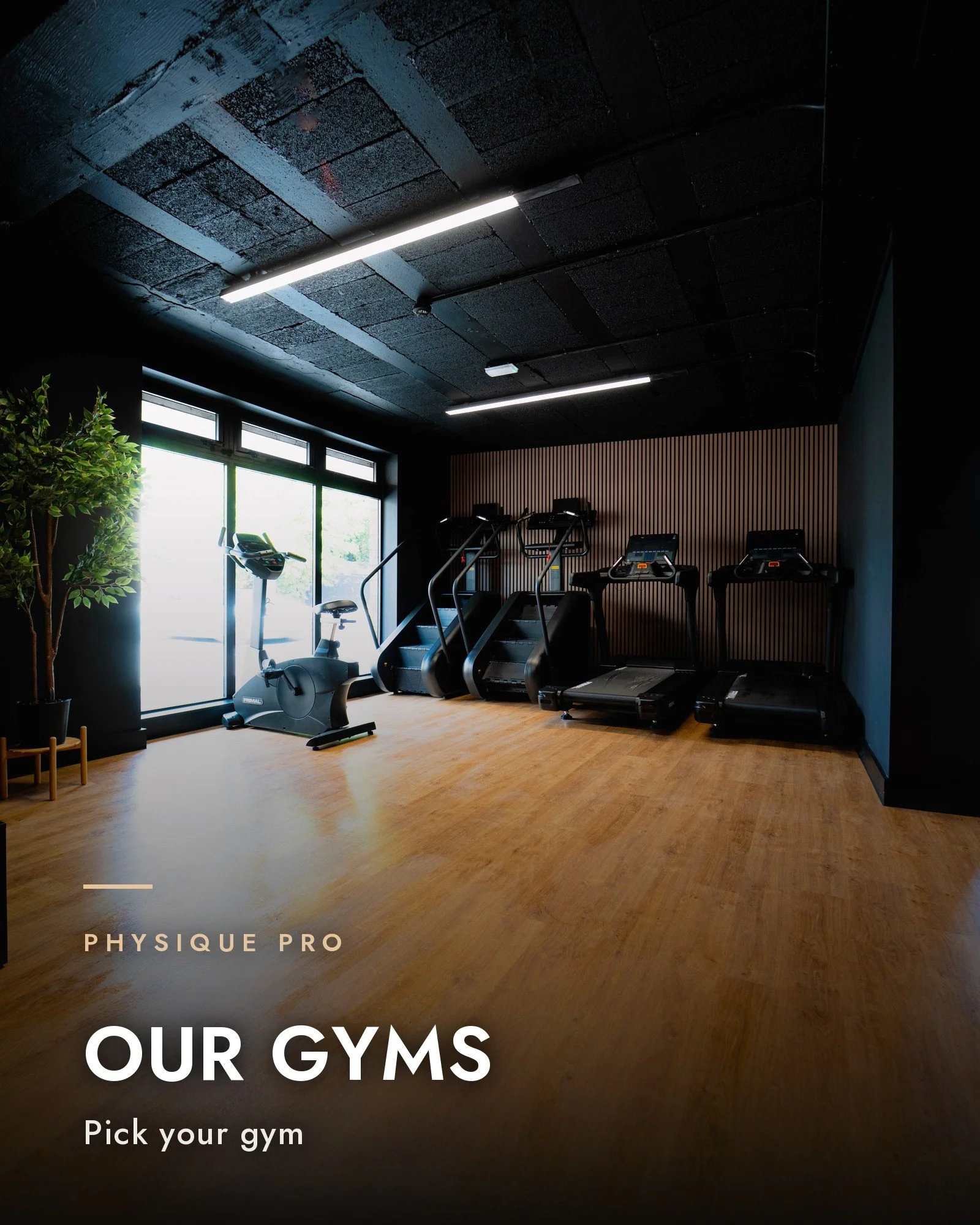 Our gyms: inside the bright, wood-floored training space at Physique Pro Ponteland, one of three premium gyms near Newcastle