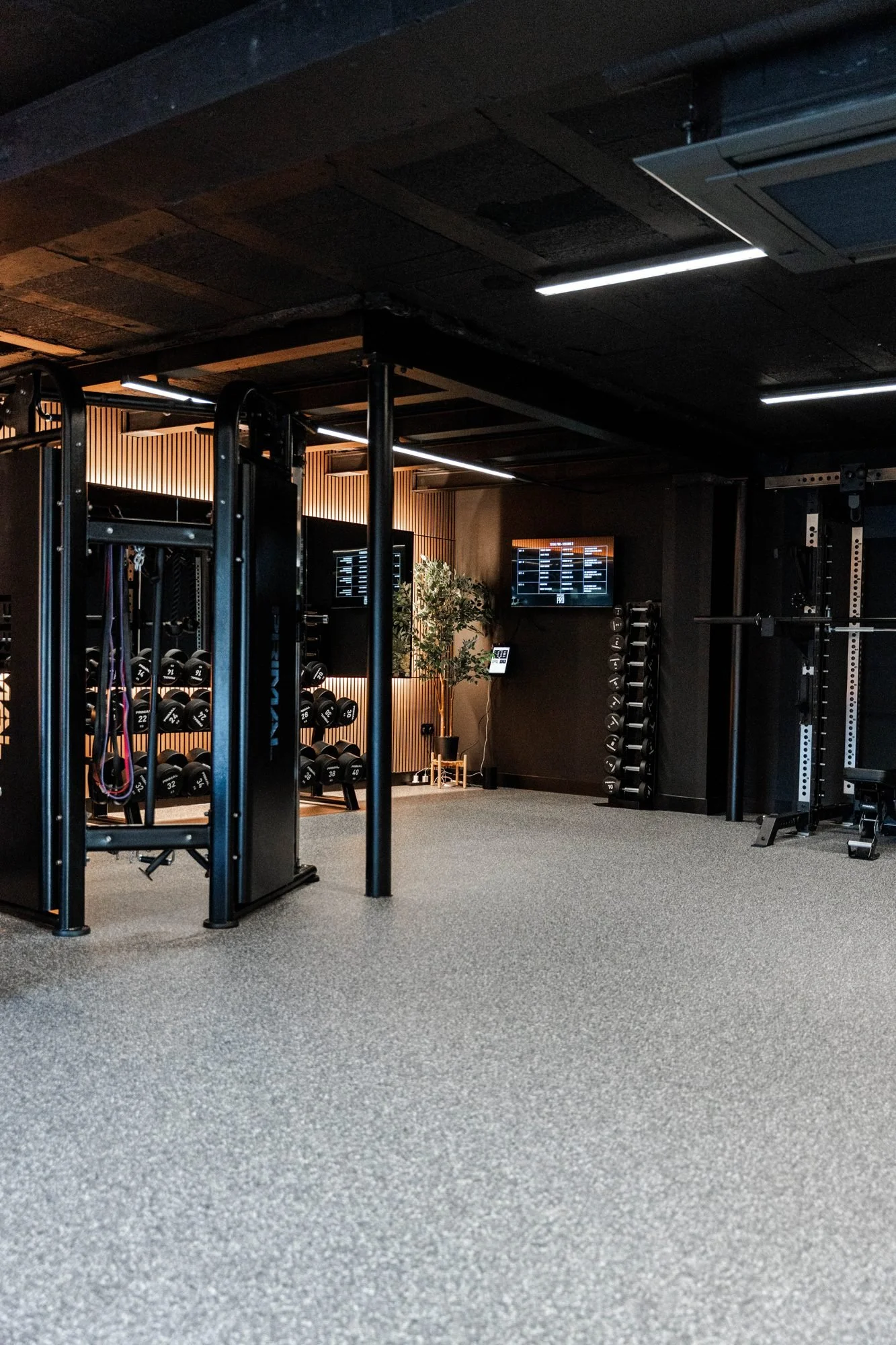 Lifting rig and bench at Physique Pro Ponteland