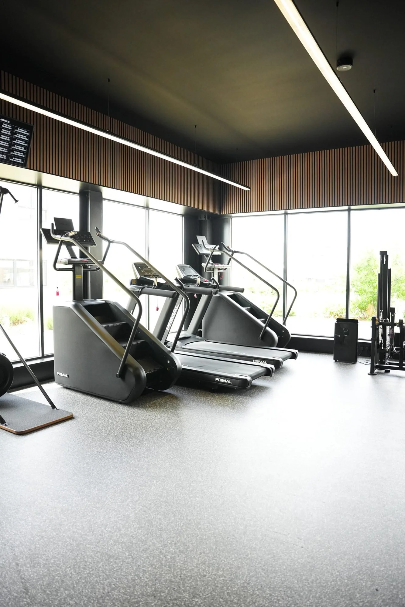 Treadmills and stair climbers in the bright cardio area at Physique Pro Great Park