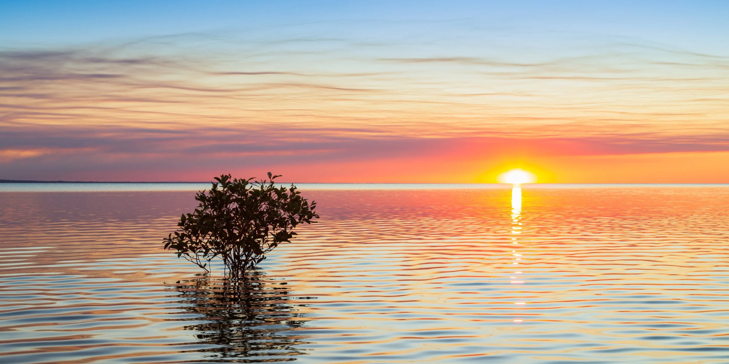 _MG_6539 (2)-Edit.jpg