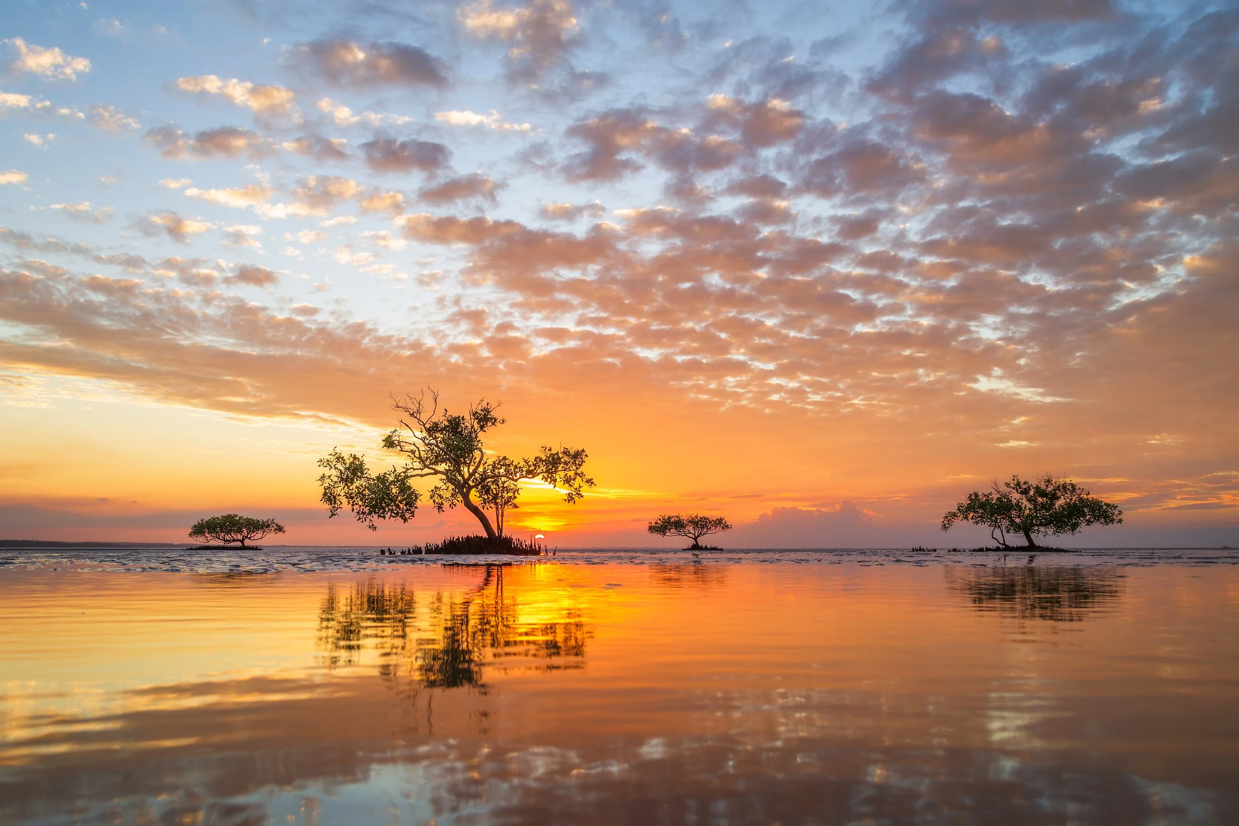 _MG_9030 (2)-Edit-Edit.jpg