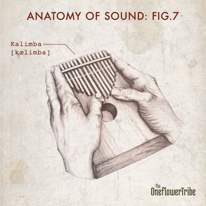 tot_fig7_kalimba.jpg
