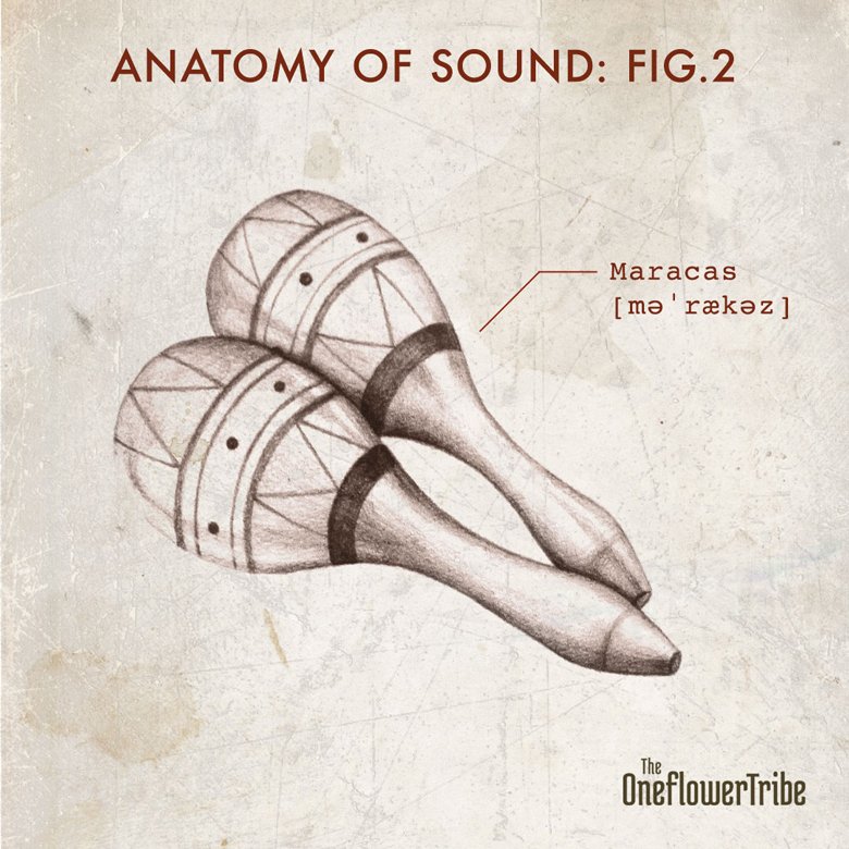 tot_fig2_maracas.jpg