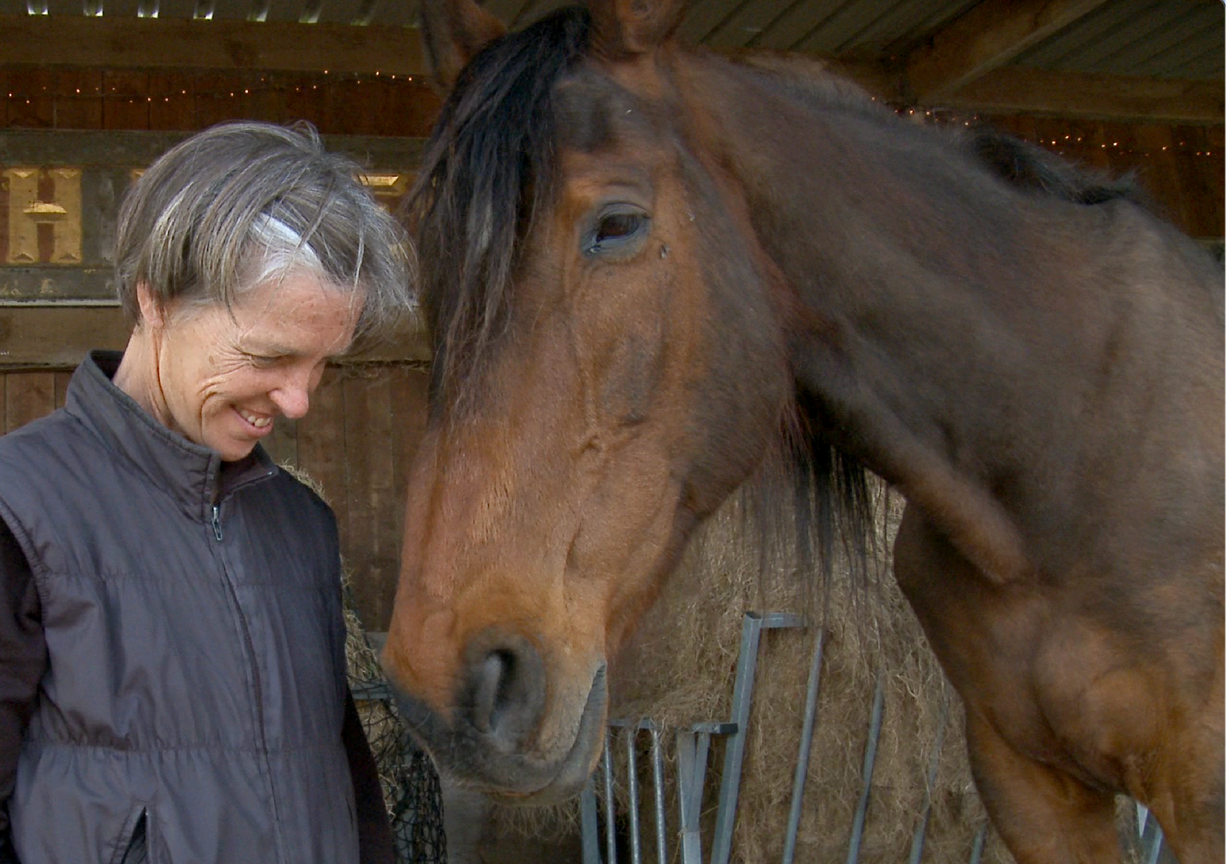 Exploration of interspecies empathy and performance