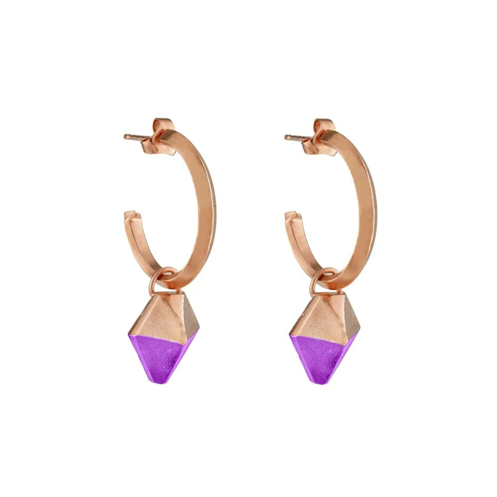 HotRocks Alchemy Hoops with charm_rose-RGweb sized.jpg