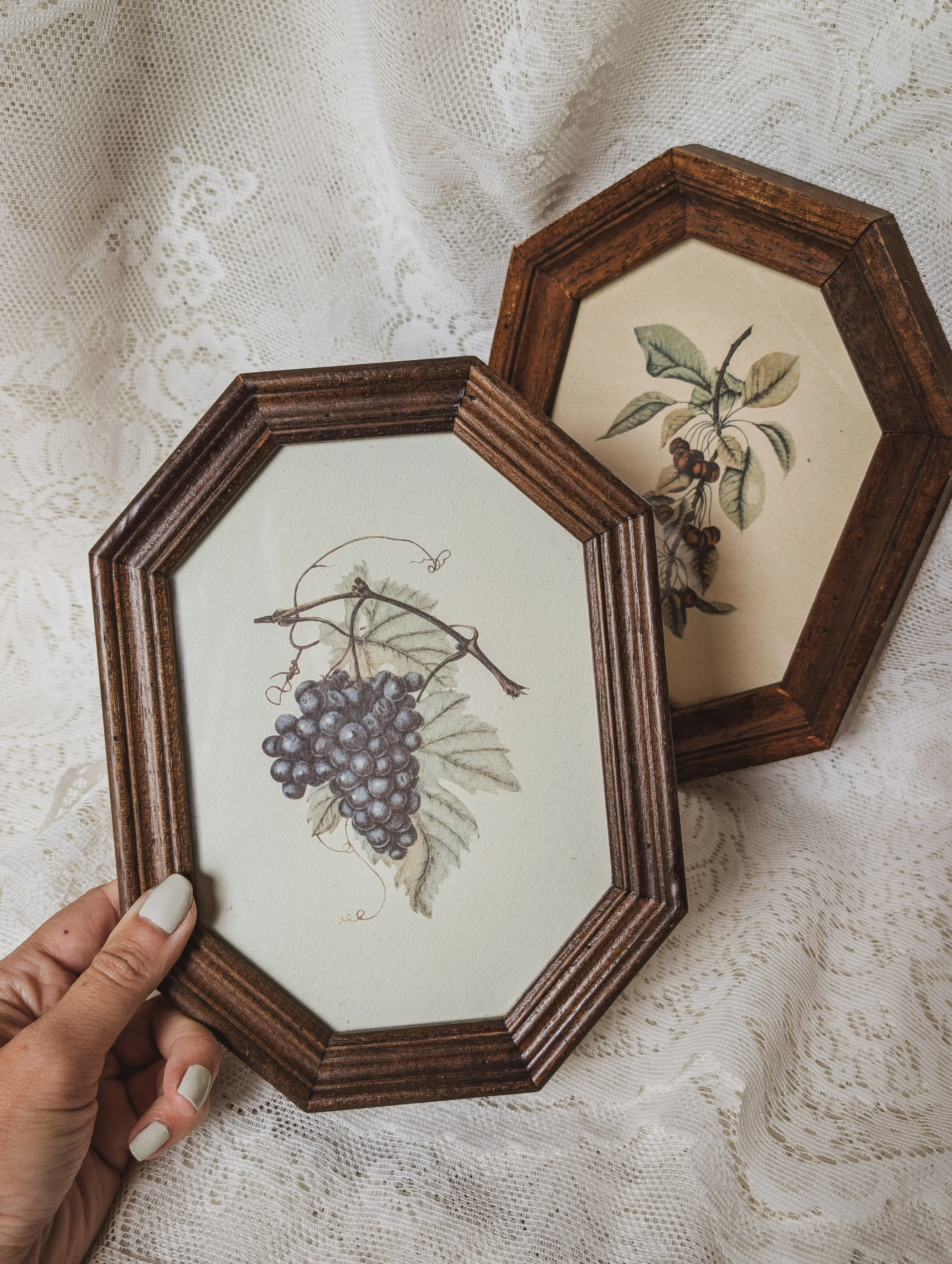 Italian Vintage - Pair of Octagonal Framed Fruit Prints Gallery Wall Cottage Core