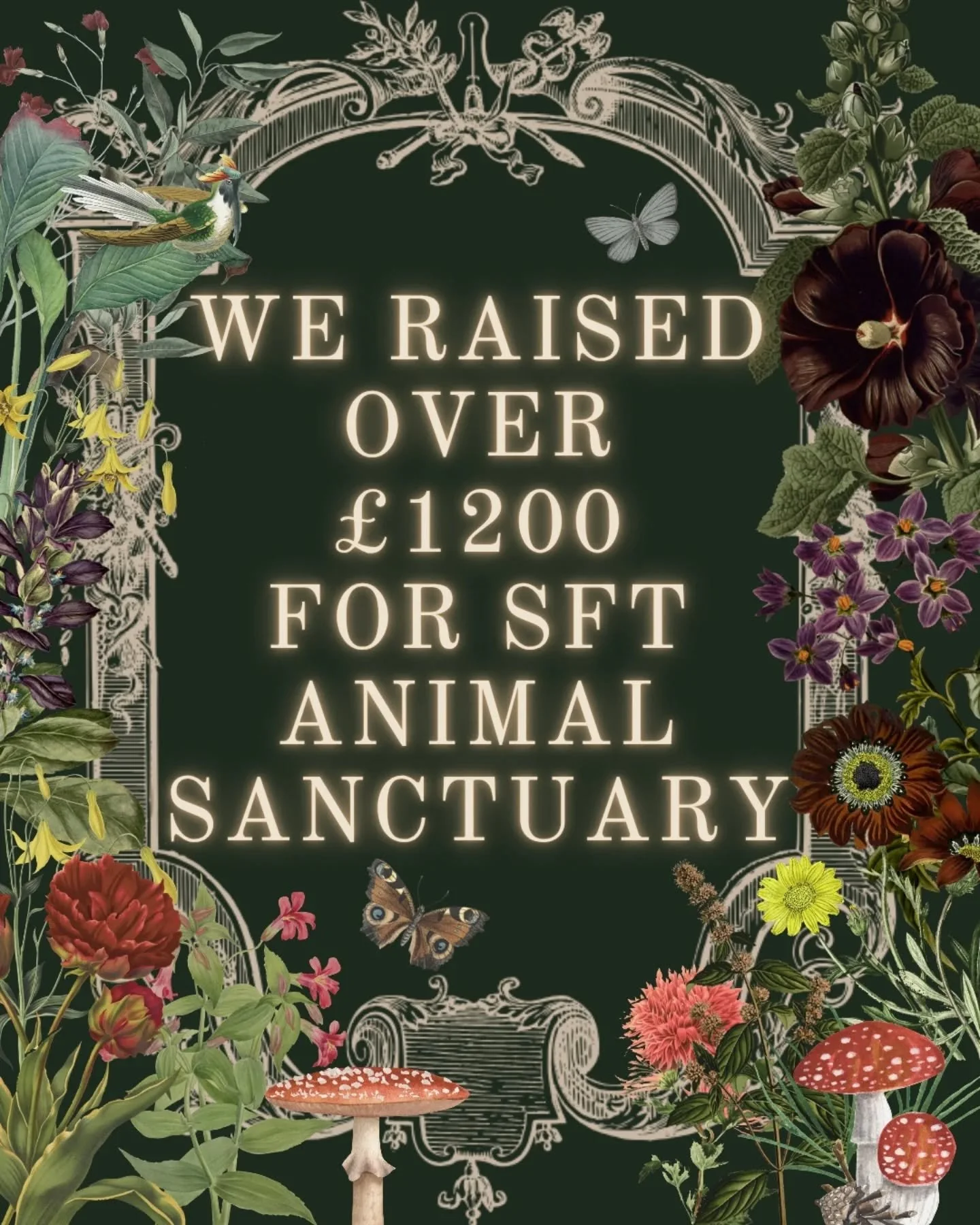 I've just sent across the final donation from the last event. Thank you all for helping support a cause so close to my heart. Here's my little Mali &amp; Gee, adopted from @animalsanctuary_tangier in Morocco earlier this year. Bonus meerkat video at 