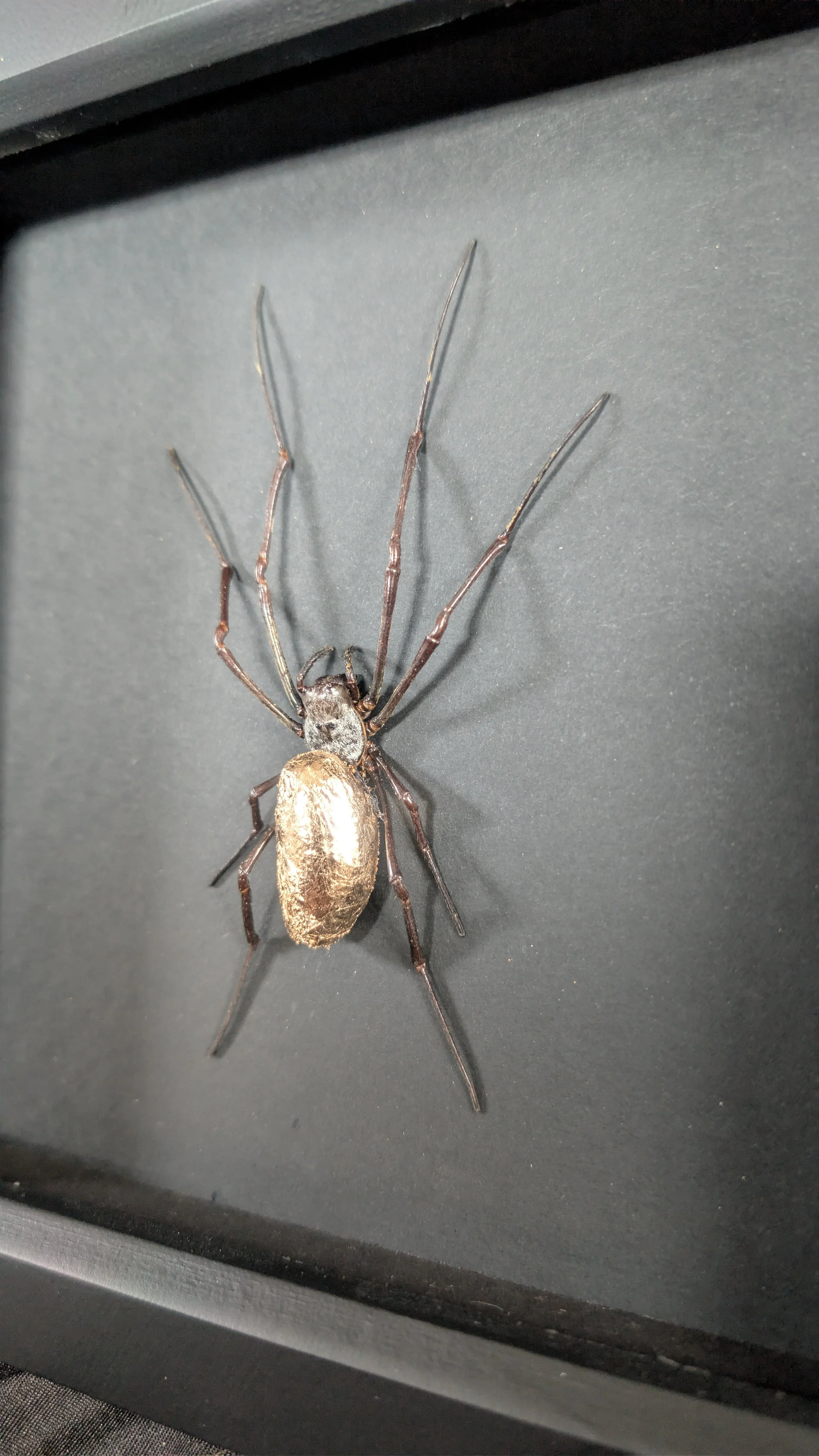 22ct Rose Gold Gilded Orb Weaver Spider