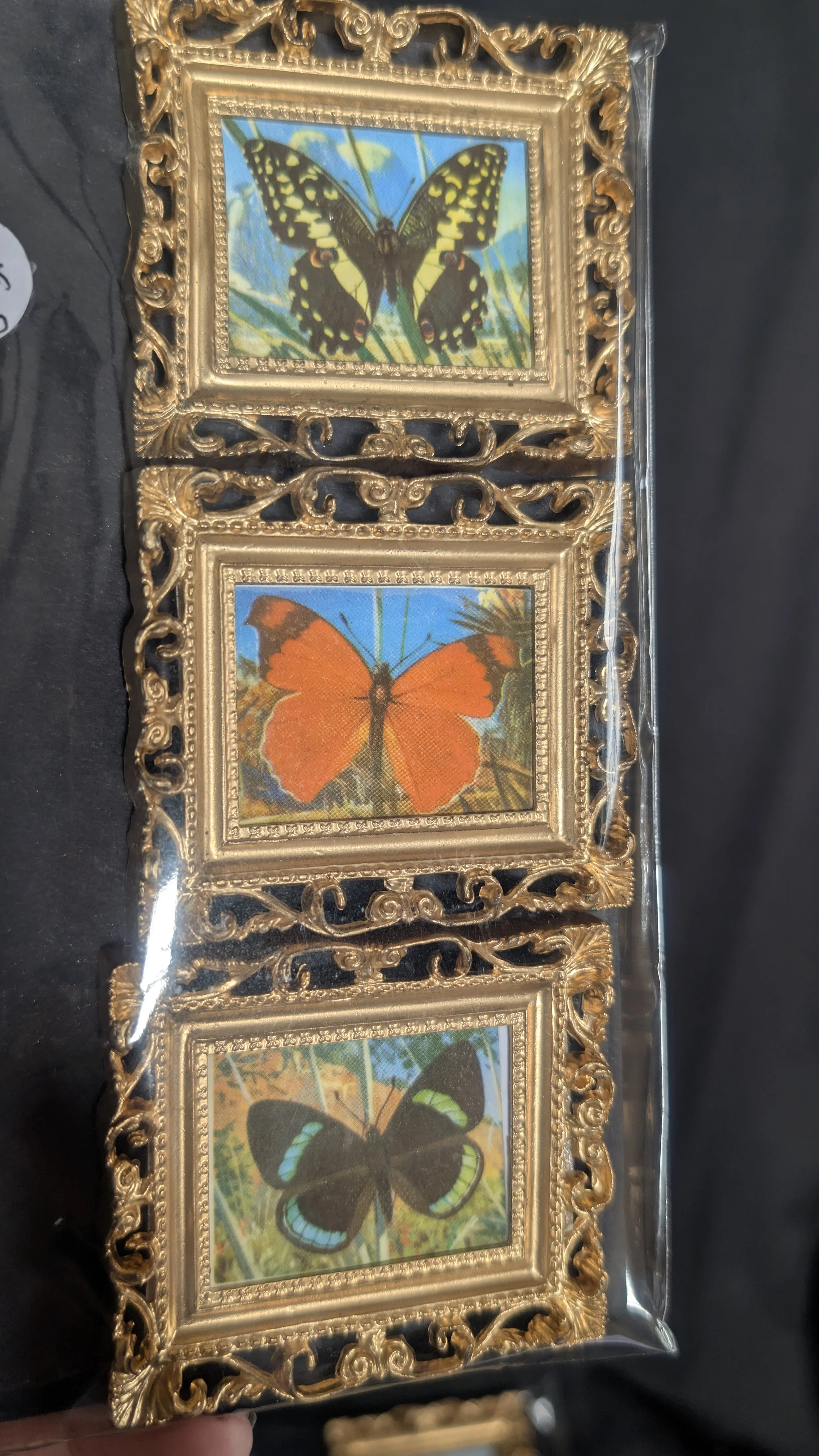 Set of 3 Fridge Magnets - Mini Gallery Wall Magnet Frames