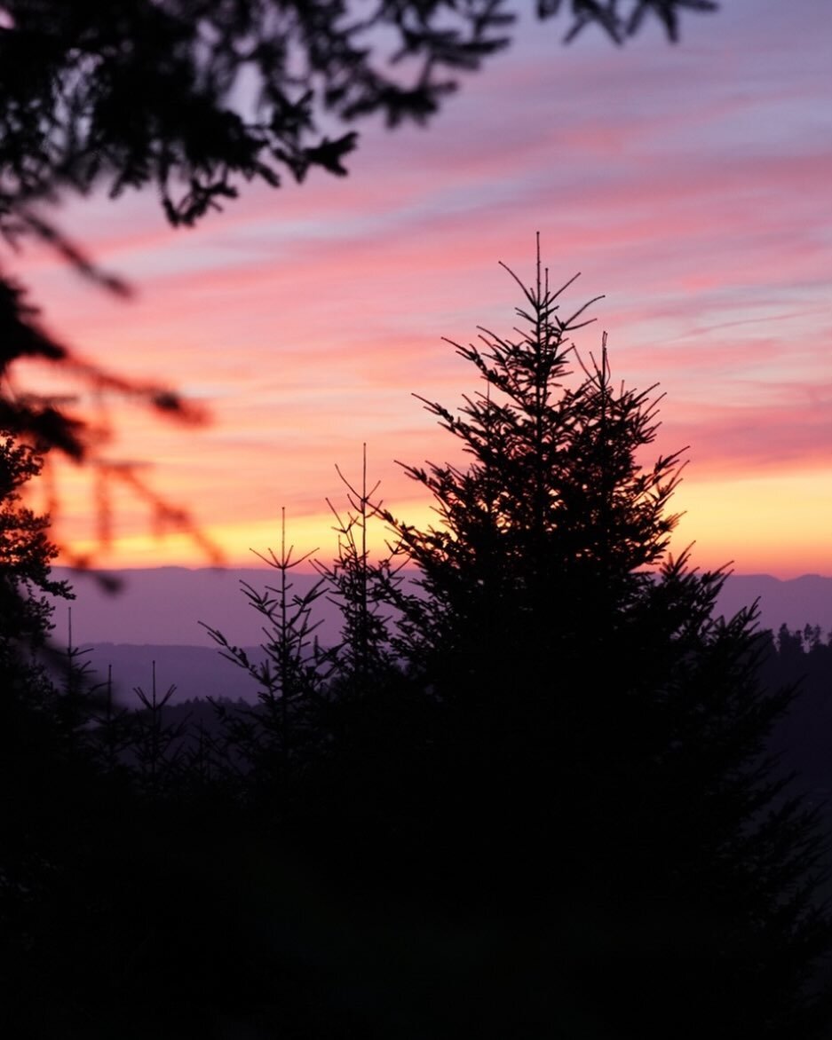 #sunset #outdoor #survival #bushcraft #nature #fun #passion #woods #fire #water #theoutdoorschool  #photography