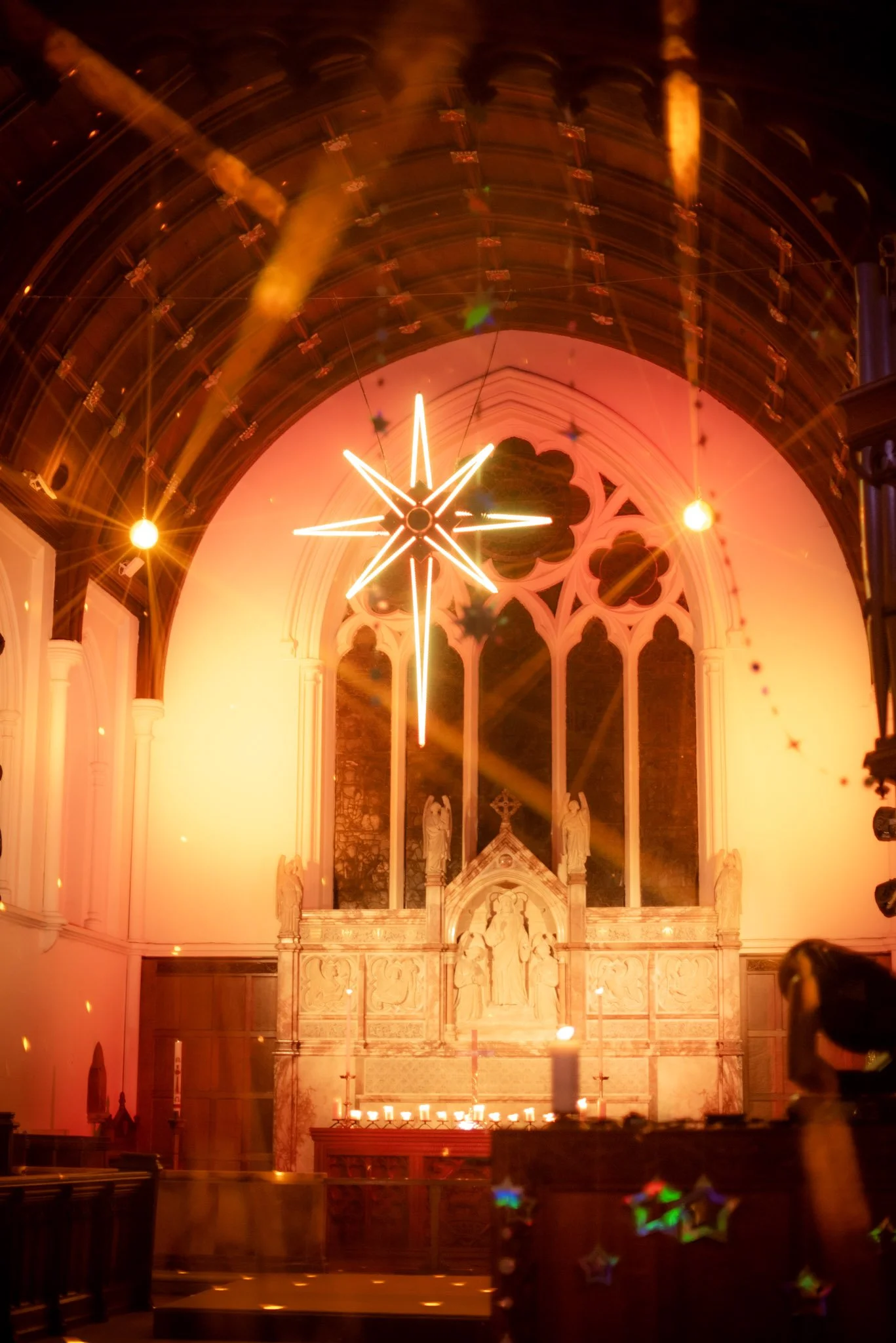 DSC_6550.jpg
