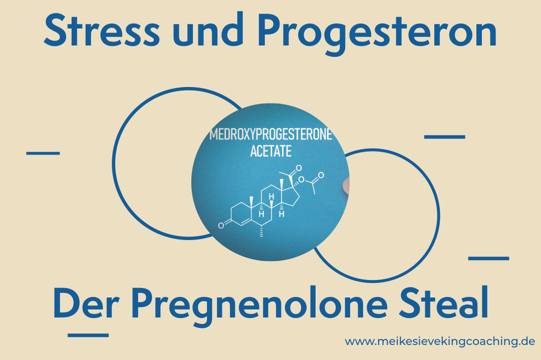 Stress und Progesteron in der Perimenopause: Der Pregnenolone Steal
