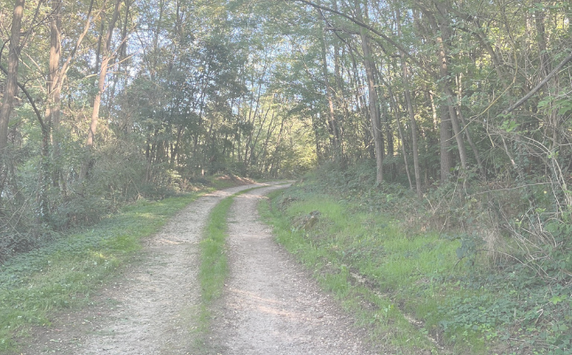 Ho lasciato Milano per tornare al mio “centro”