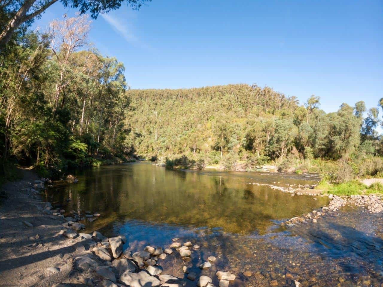 Stunning-Coopers-Creek-views.jpeg