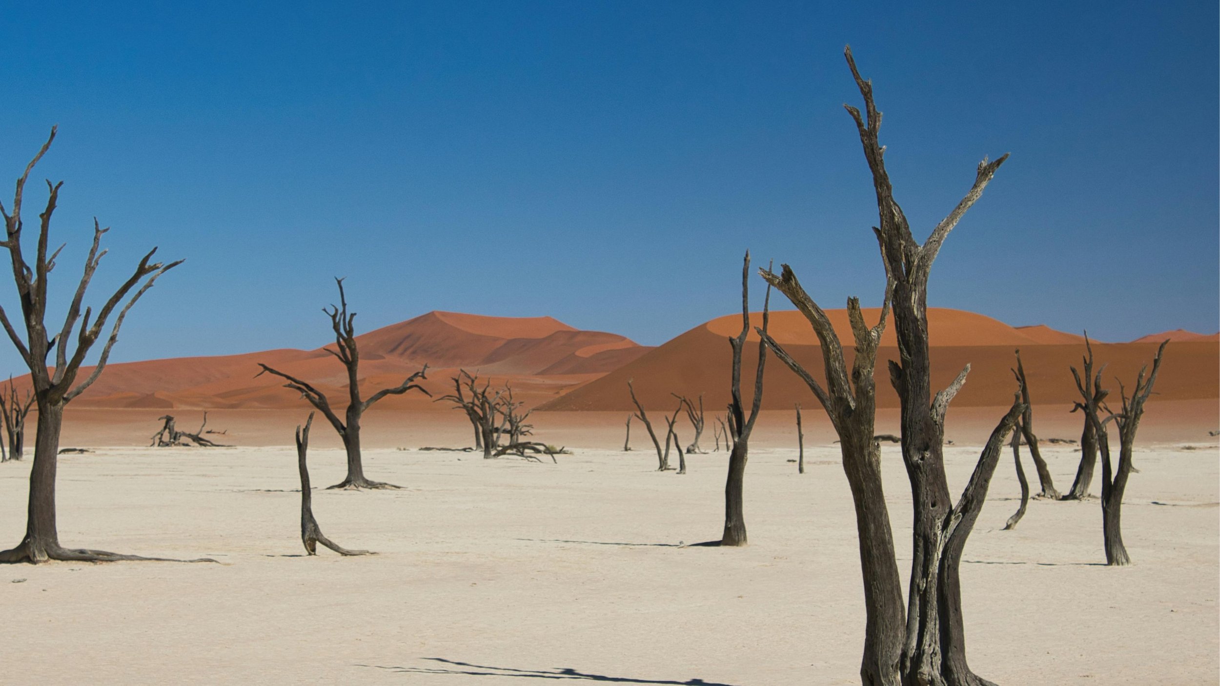 Namibia — Desert Landscapes & Wild Exploration (October 2026)
