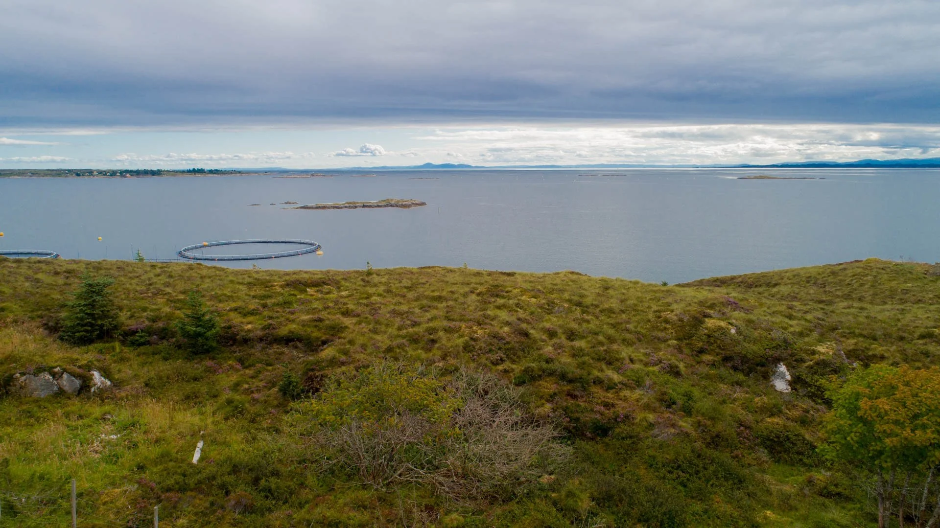 hammarberget-25.jpg