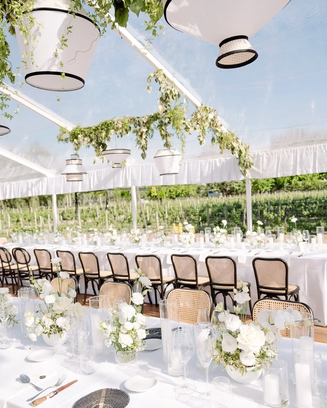 Carolina & Eduardo ✨
In the heart of Mendoza, cultures intertwined and traditions met, creating a celebration where every dance step felt like a bridge between worlds. A weekend overflowing with joy, love, and unforgettable moments.
The fairytal