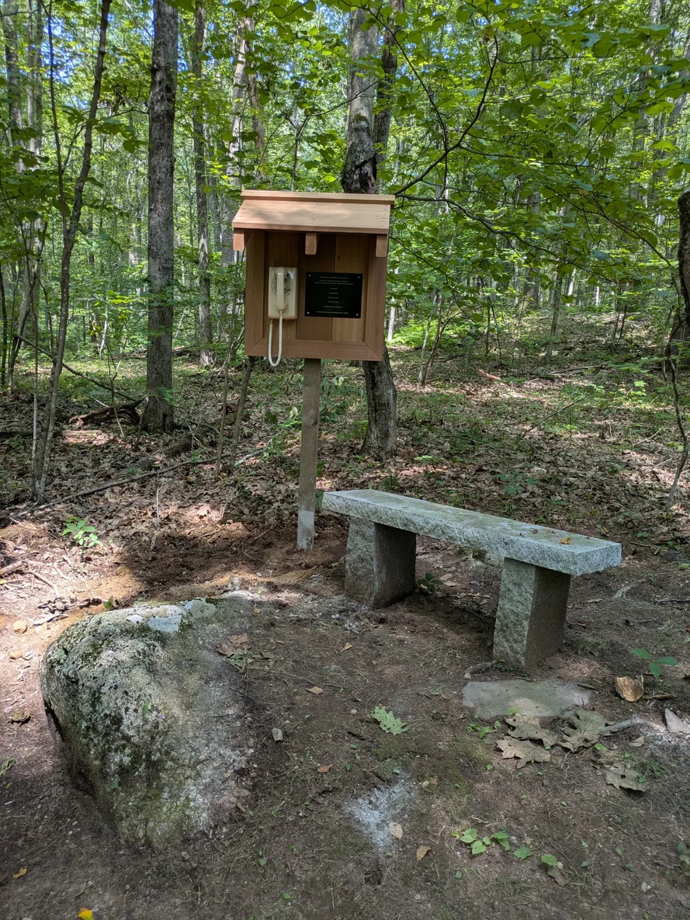 General 5 — Firefly Hill
