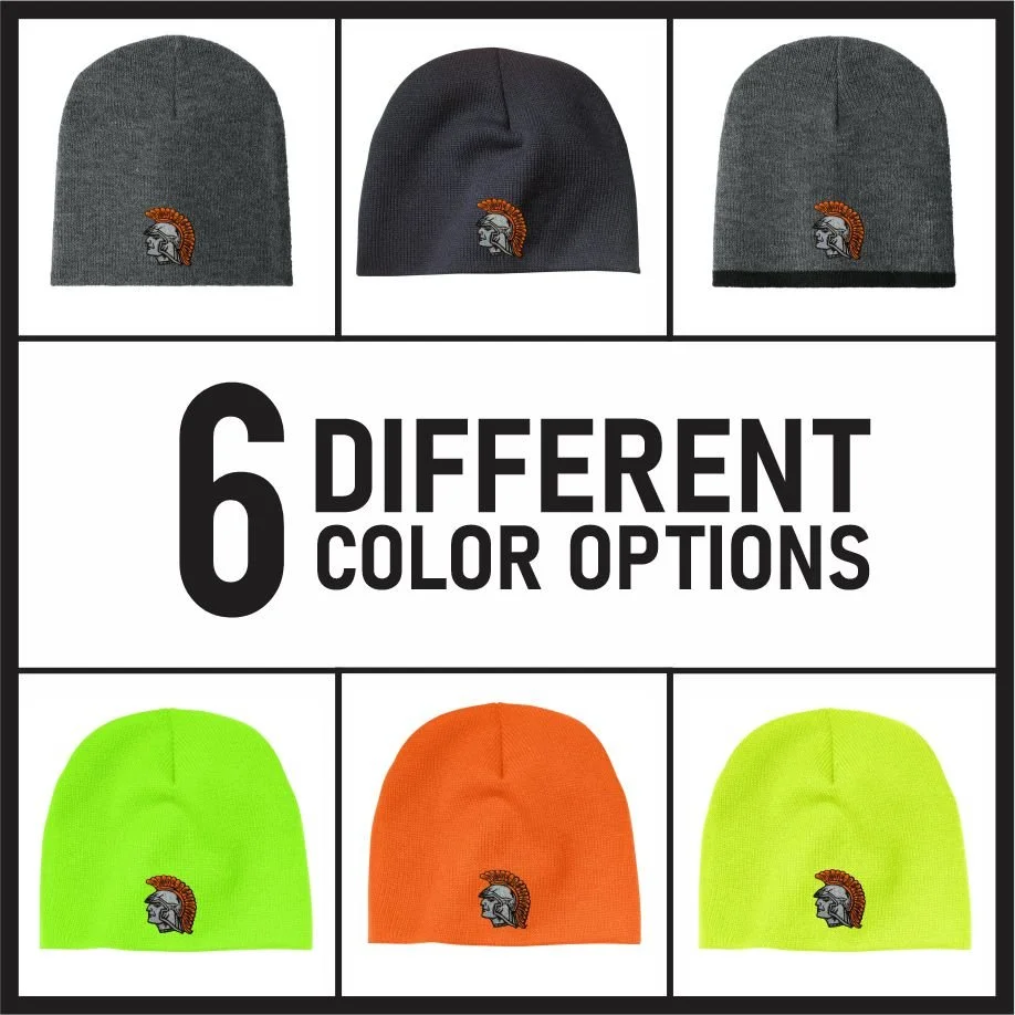 Arcanum Beanie (cp91)