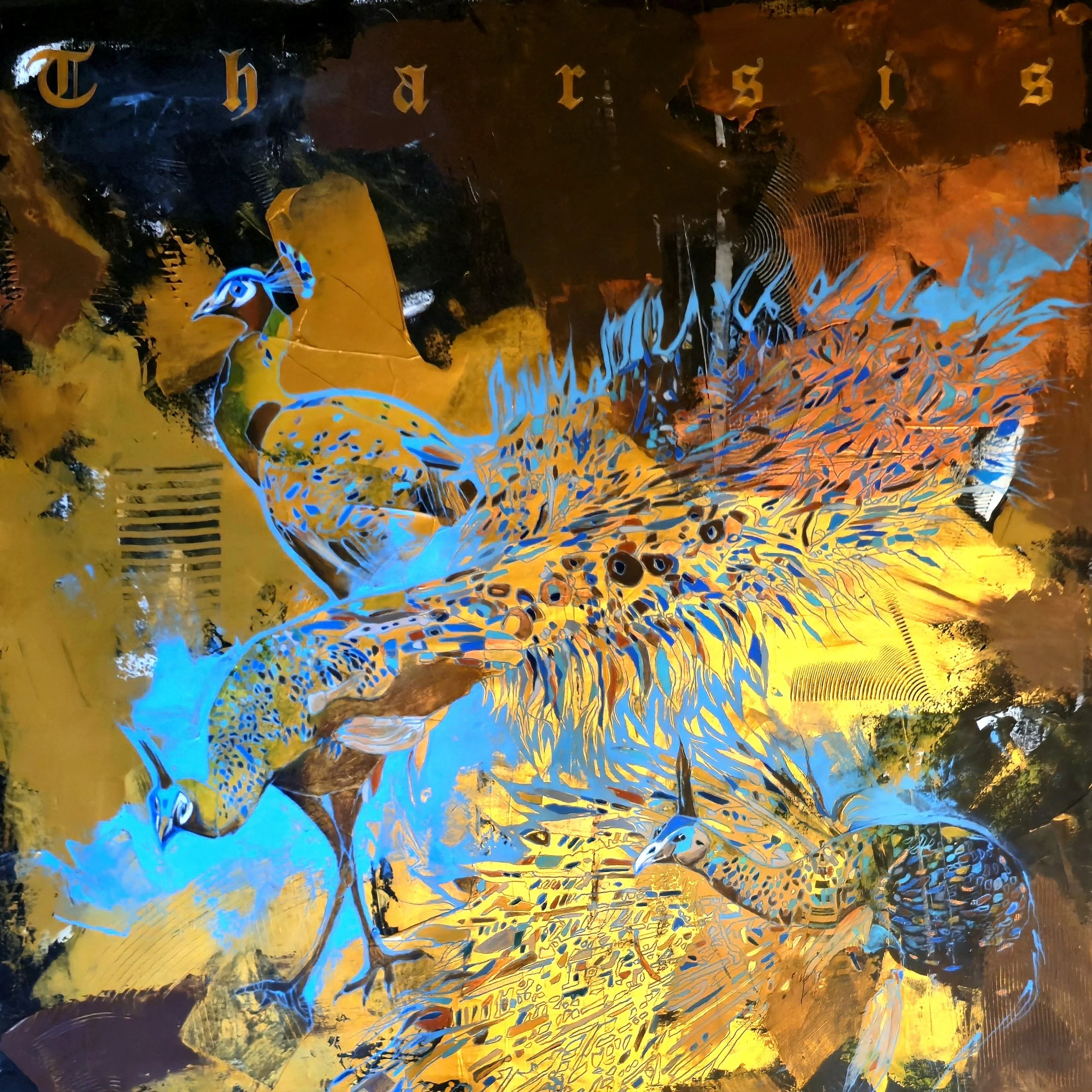IMG_1979.jpeg