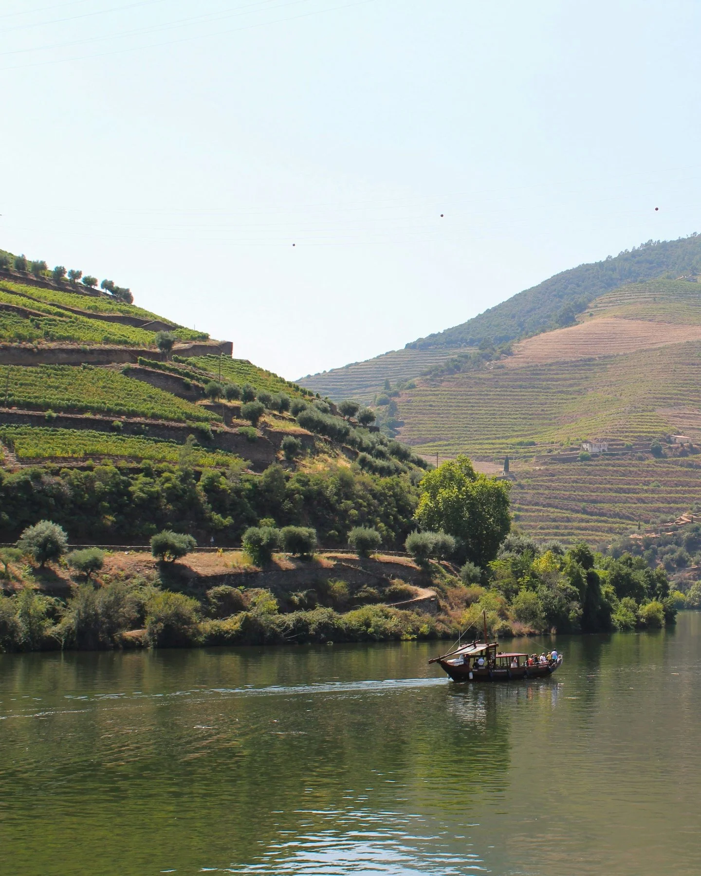 🚂 Here's why you should skip the long car ride to Douro Valley

Planning a wine tour to the Douro Valley with a child? I've got a game-changing tip for you.

Instead of enduring a long car journey, take the train from Porto to Pinh&atilde;o! It's no