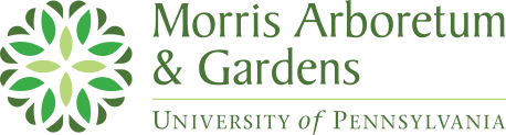 Morris Logo.png