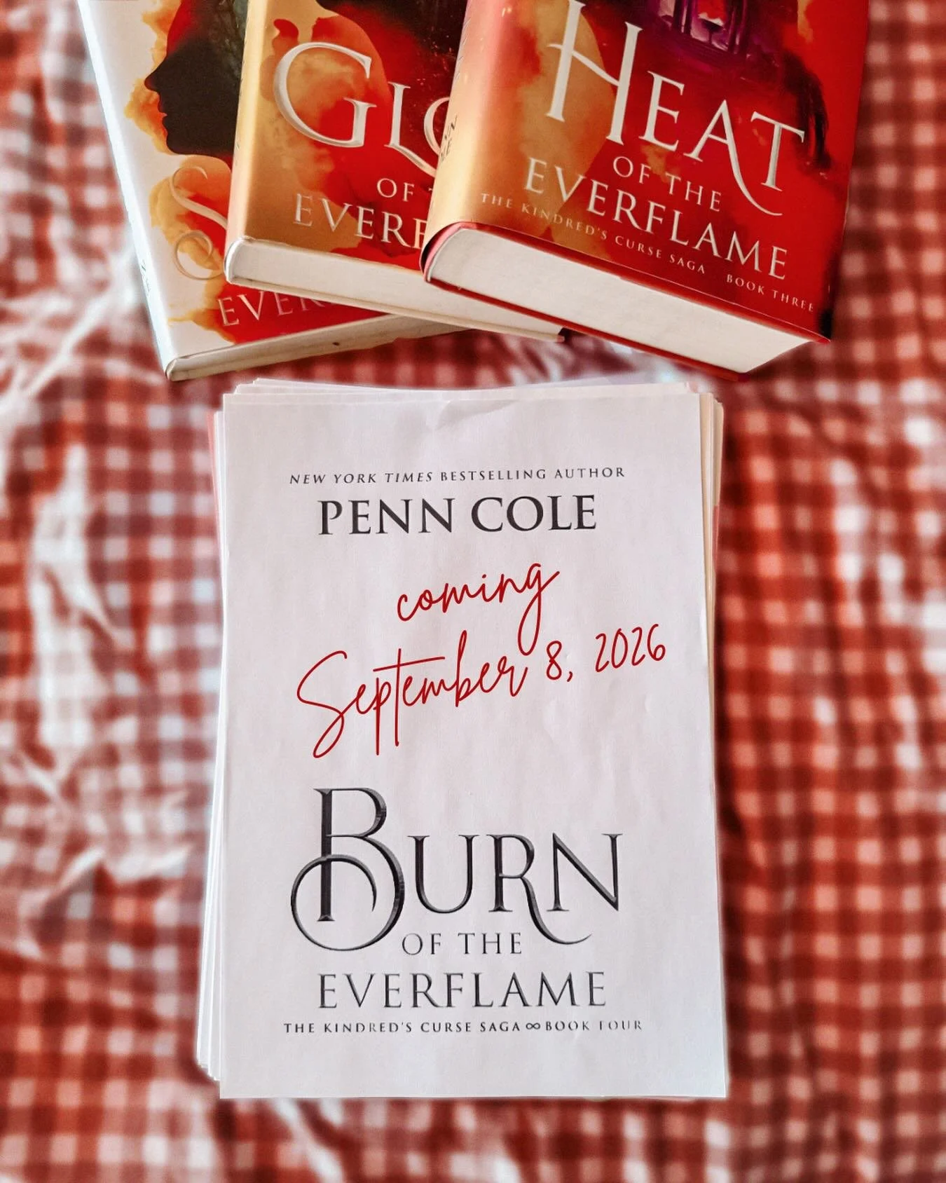 In case you missed Friday&rsquo;s excitement - BURN OF THE EVERFLAME is coming September 8!! I&rsquo;m so excited to finally have a release date, and we&rsquo;ve got a huge trove of incredible art commissions and sneak previews of Burn to share over 