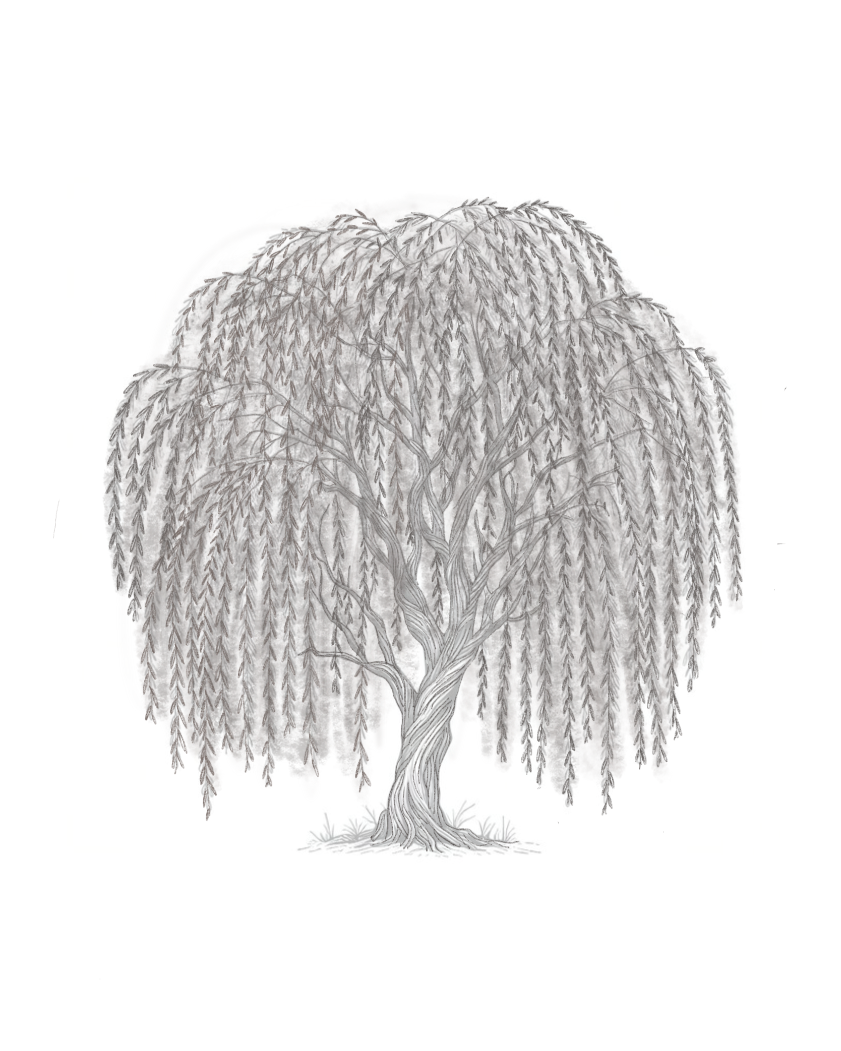 Untitled_Artwork+10.png
