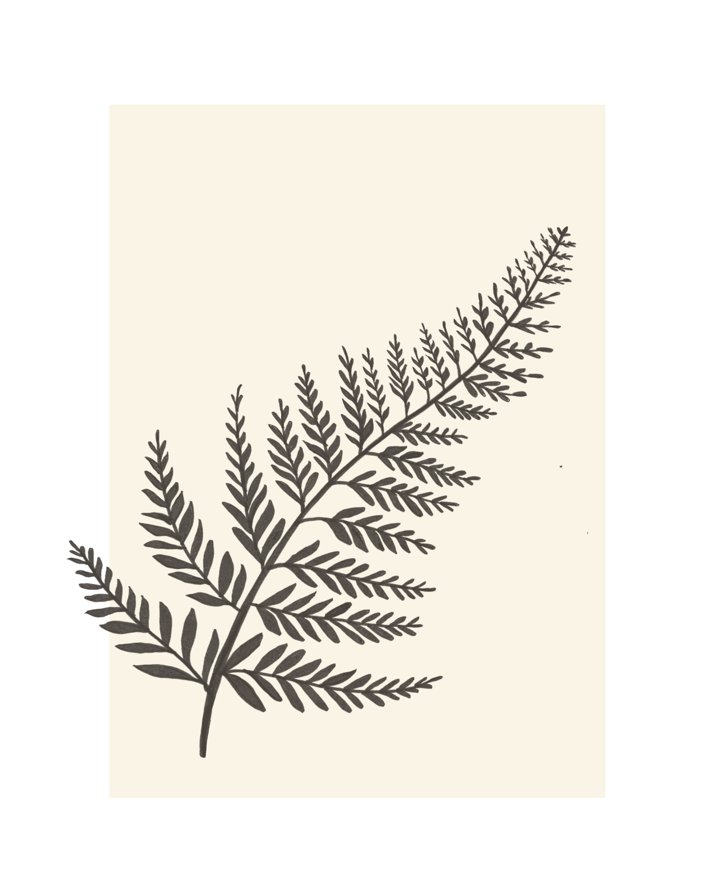 Untitled_Artwork+6.png