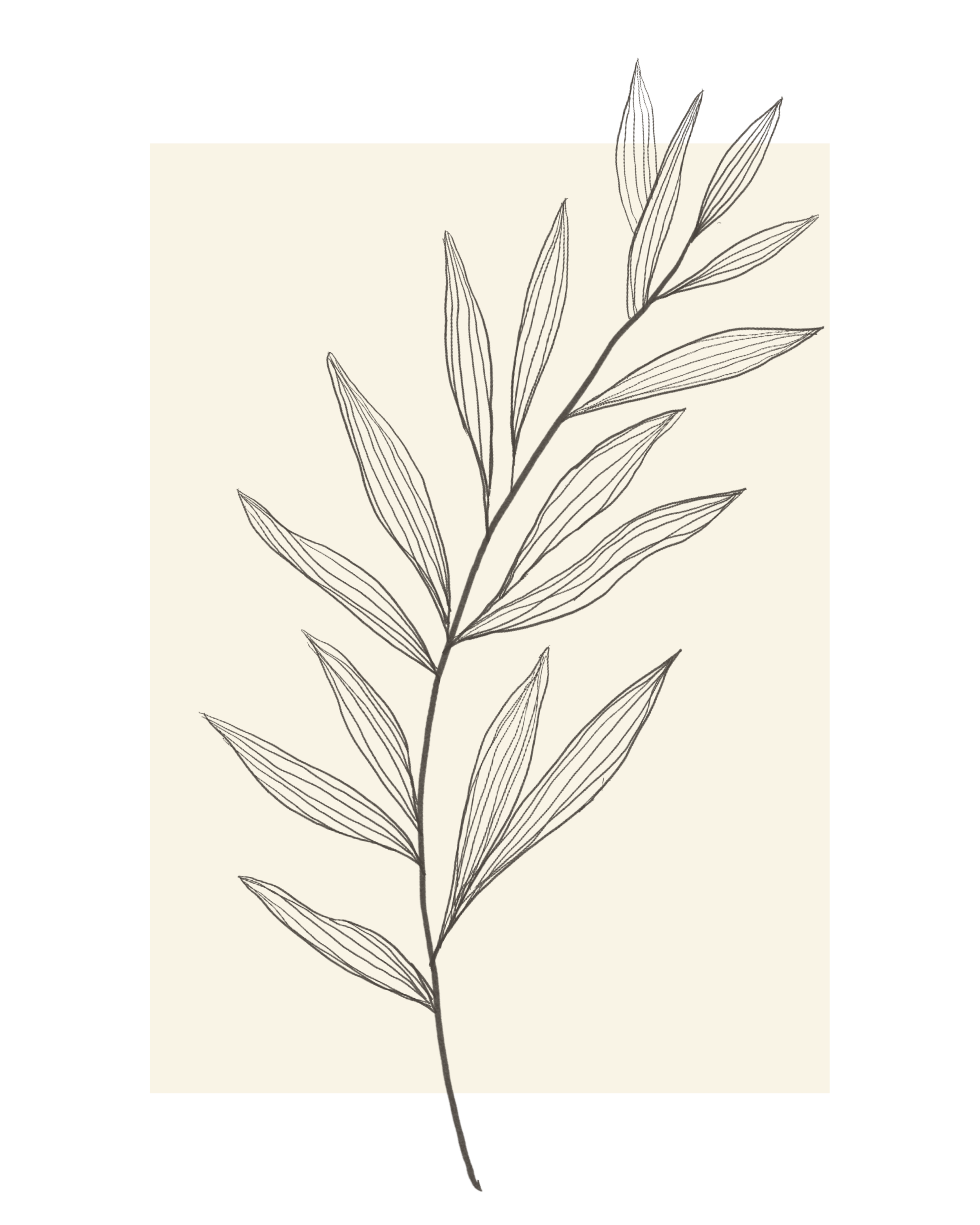 Untitled_Artwork+1.png