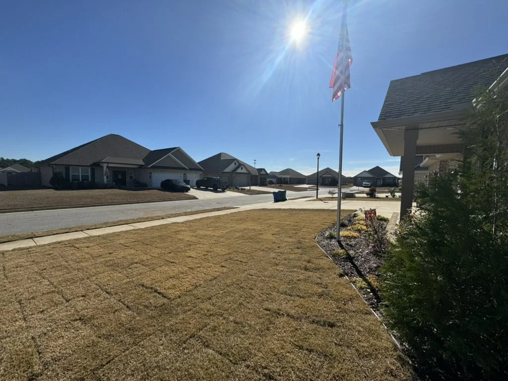 Freshly sodded front yard with landscaping, bright sunshine, and neighborhood charm.