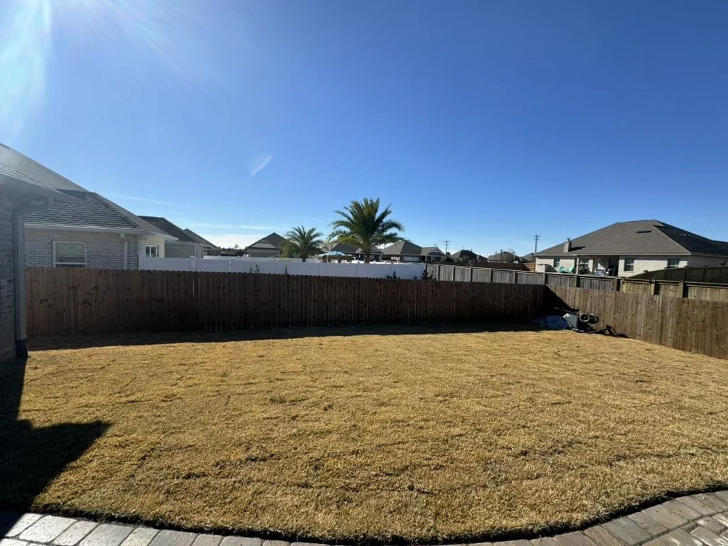 Freshly sodded backyard with a sunny, clean, and welcoming landscape layout.