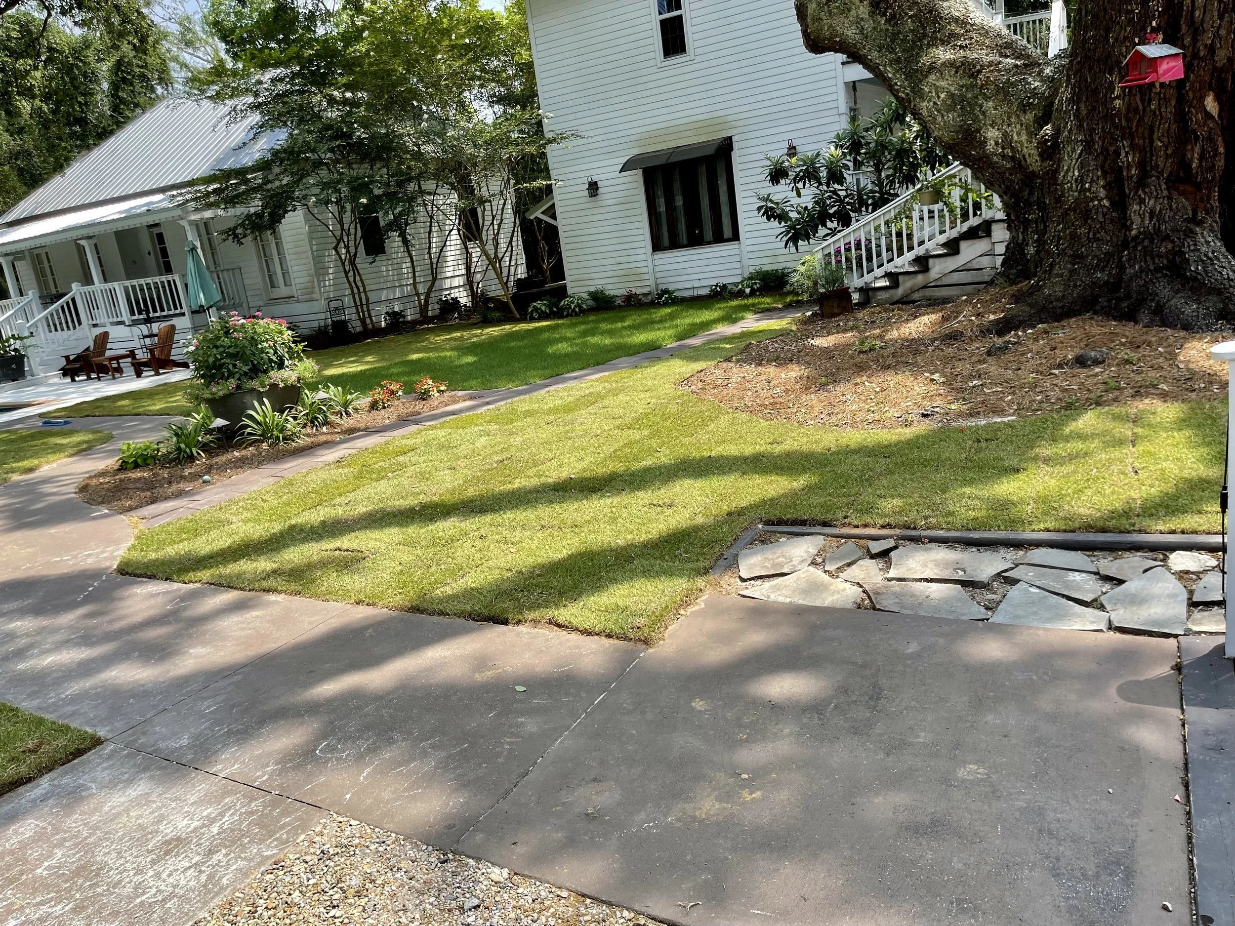 Traditional Southern landscape design with a large oak tree and surrounding gardens