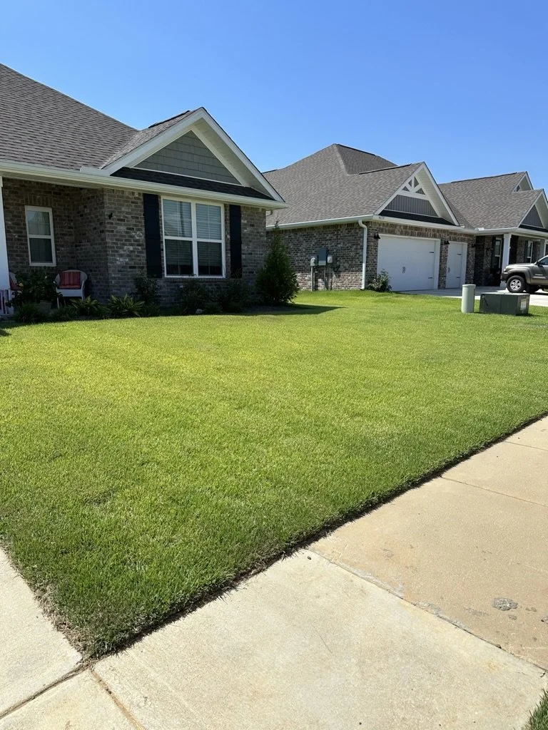 Green, healthy lawn complements brick home, showcasing perfect residential sod installation.