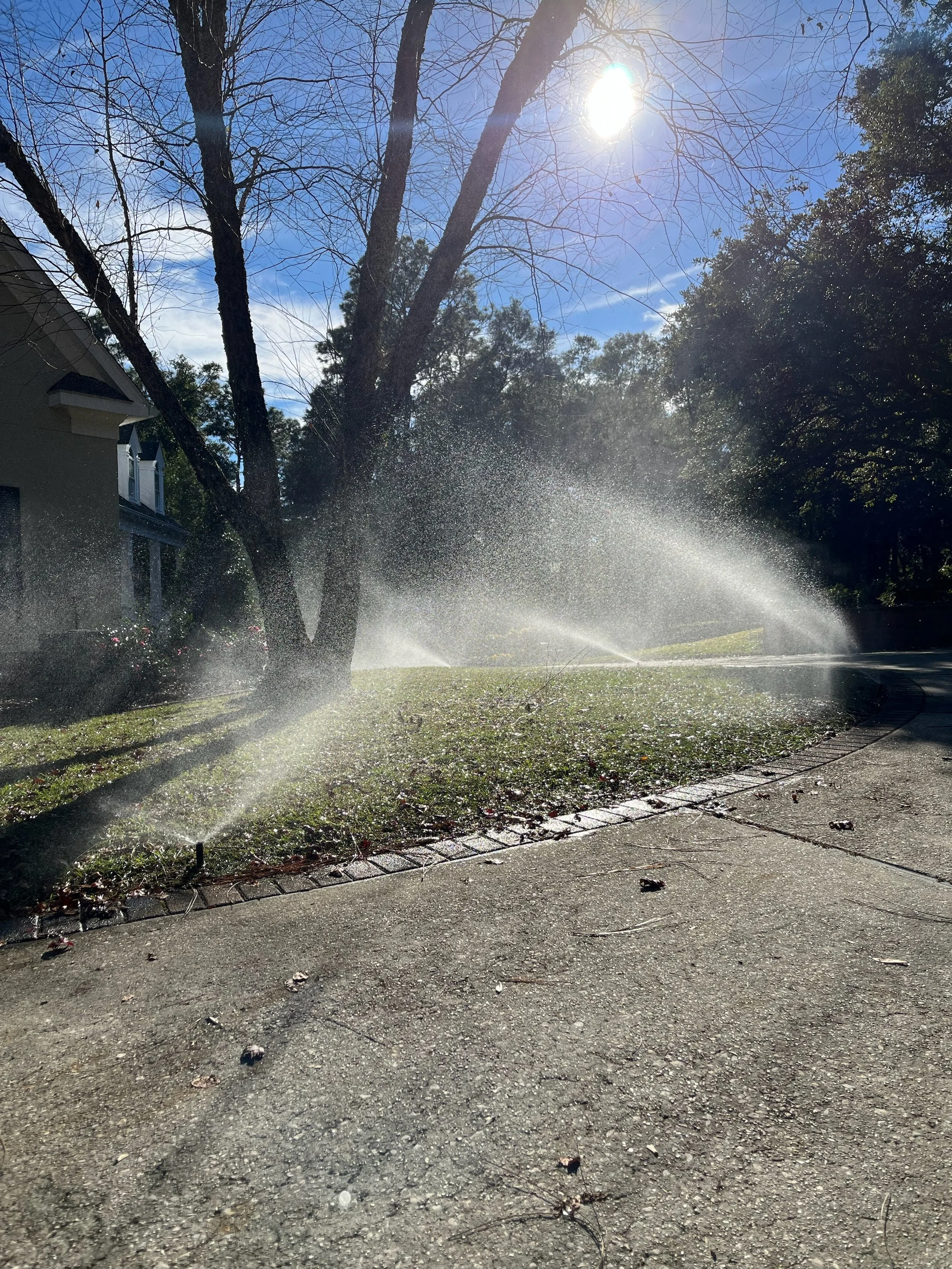 Lawn irrigation sprinklers in action under morning sunlight, watering a Gulf Coast landscape.