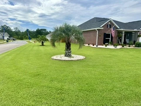 Manicured lawn with decorative palm tree, brick home, and vibrant outdoor landscape design.