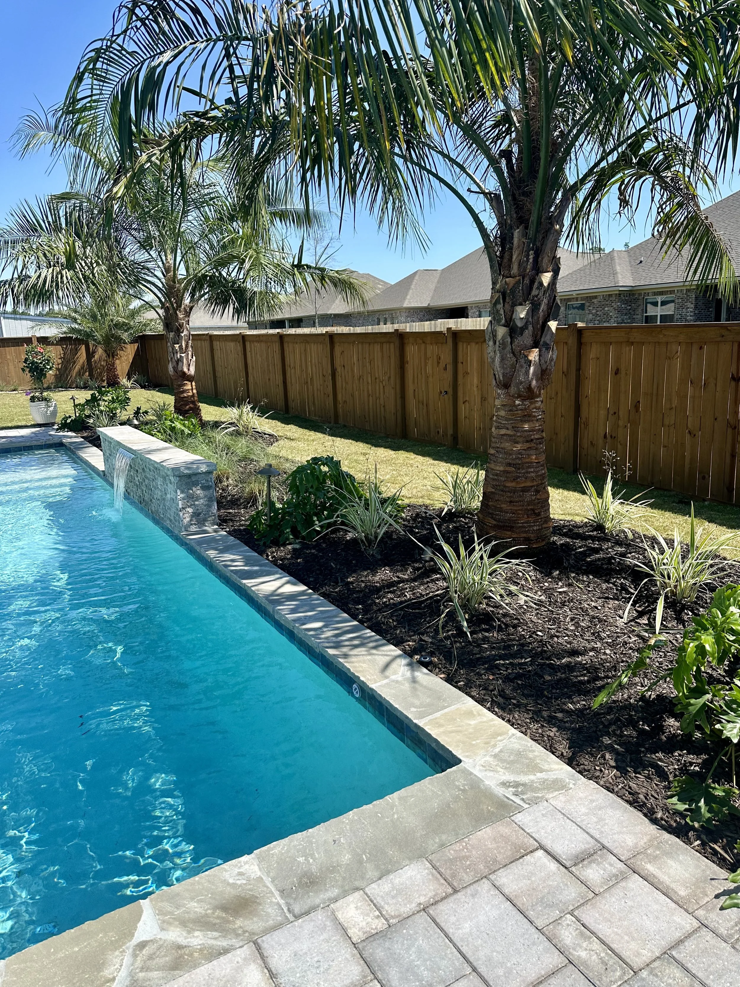 Tropical landscaping with palm trees beside a luxurious pool in the Gulf Coast region