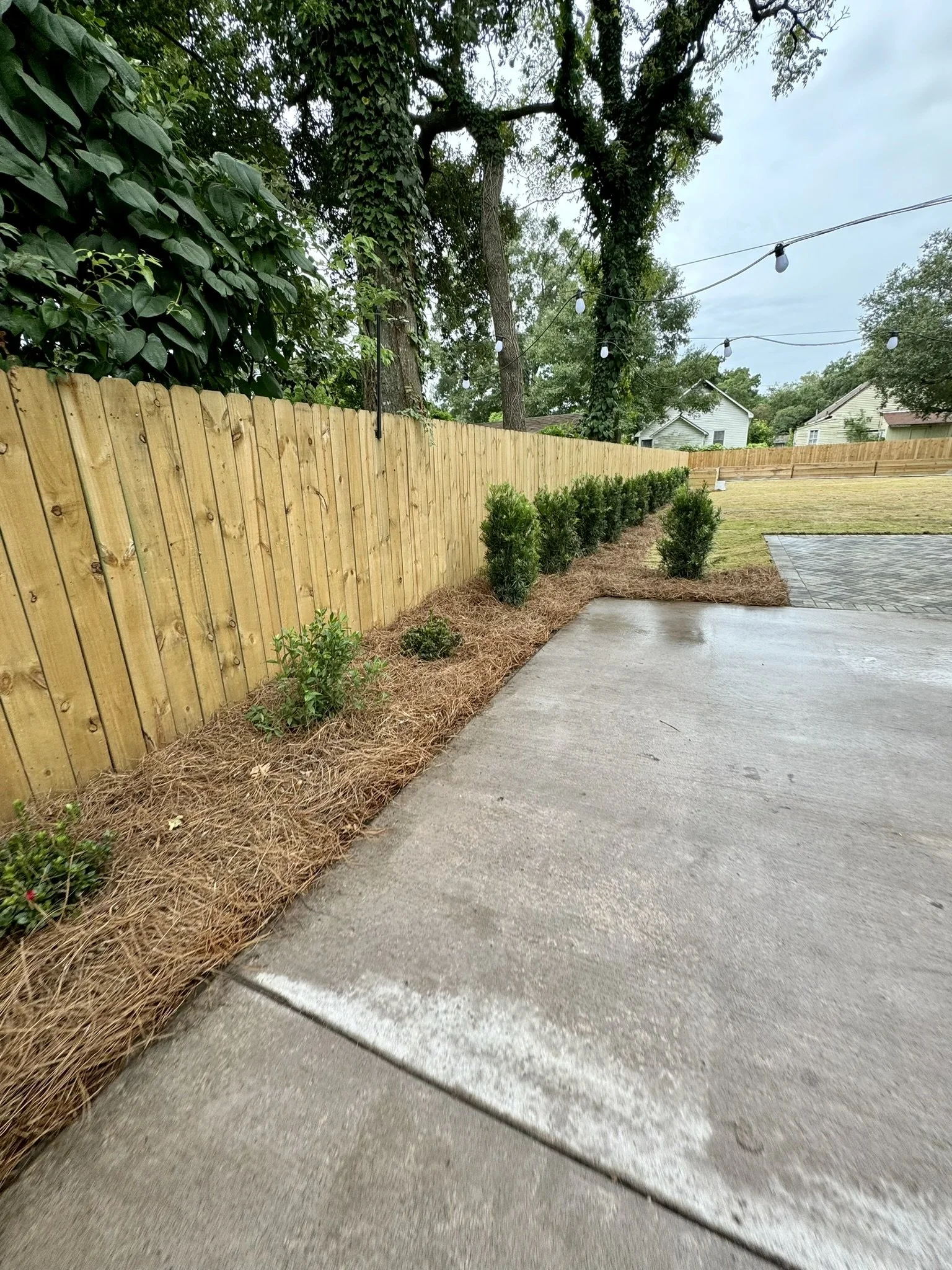 New fence installation with fresh landscaping and clean, well-defined planting beds.