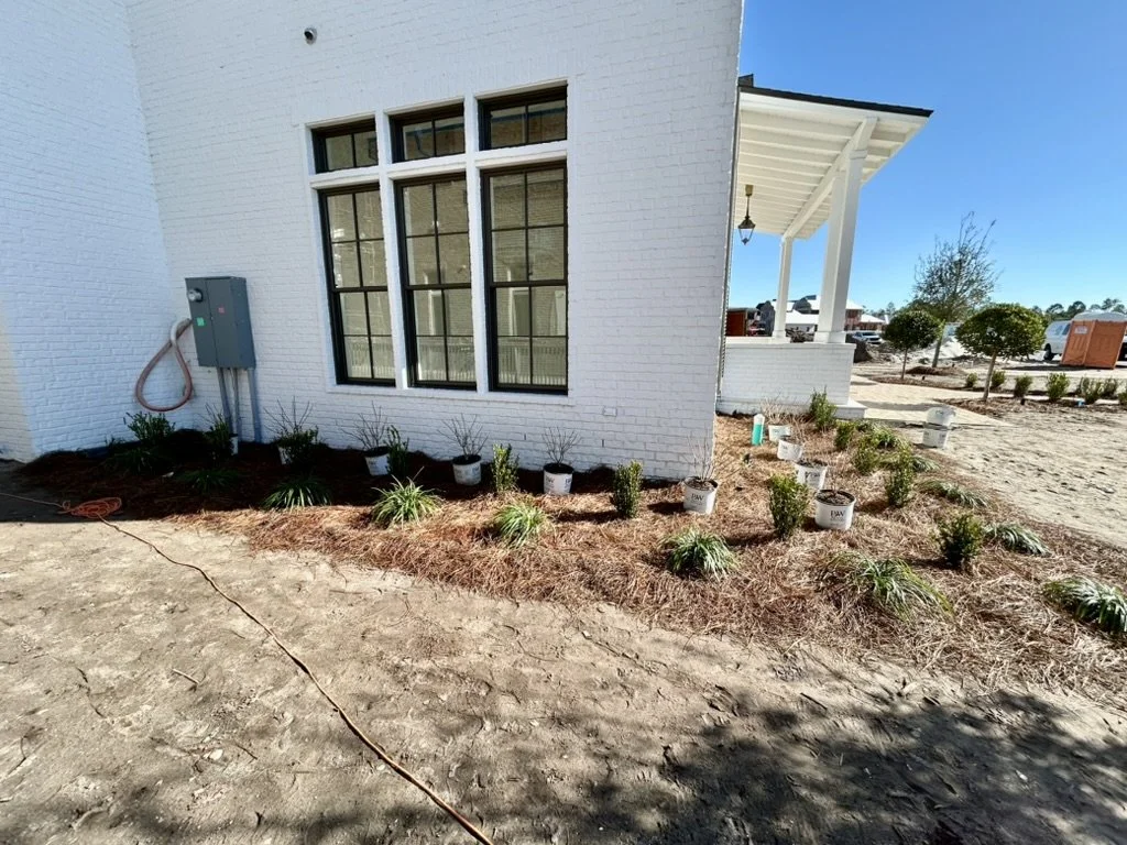 New landscape installation with fresh plants, mulch, and a clean foundation design.