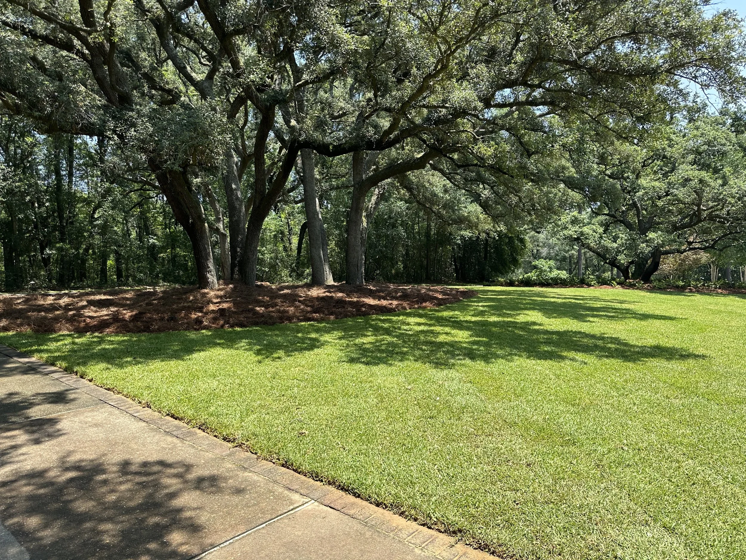 Beautifully landscaped front yard in a traditional Southern style.