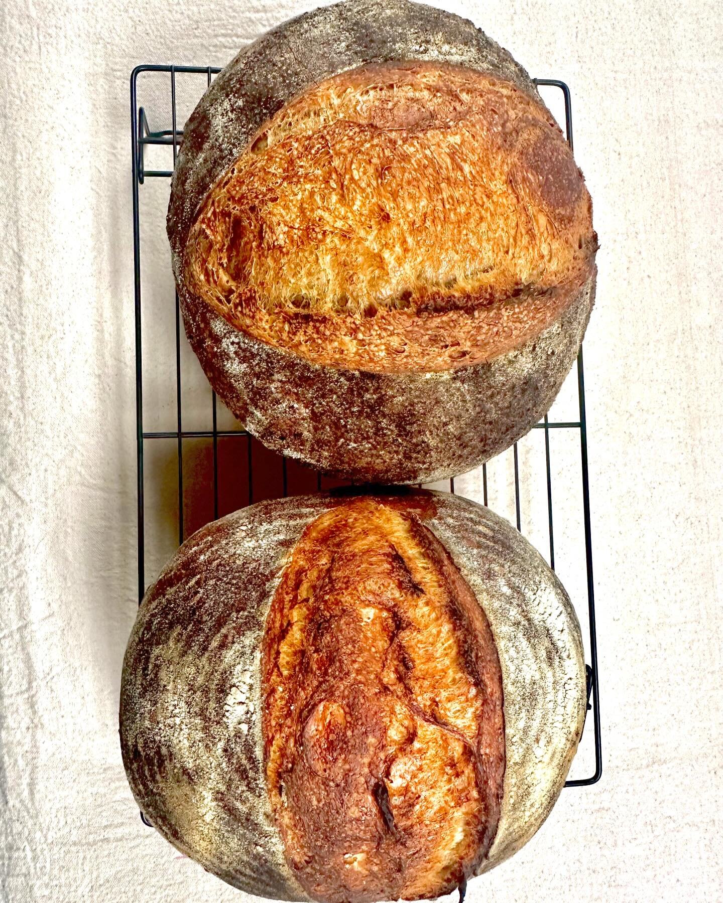 Coffee Sourdough - 75% hydration with filtered coffee, 80% bread flour, 10% whole wheat, 10% rye. 🤤  #sourdough