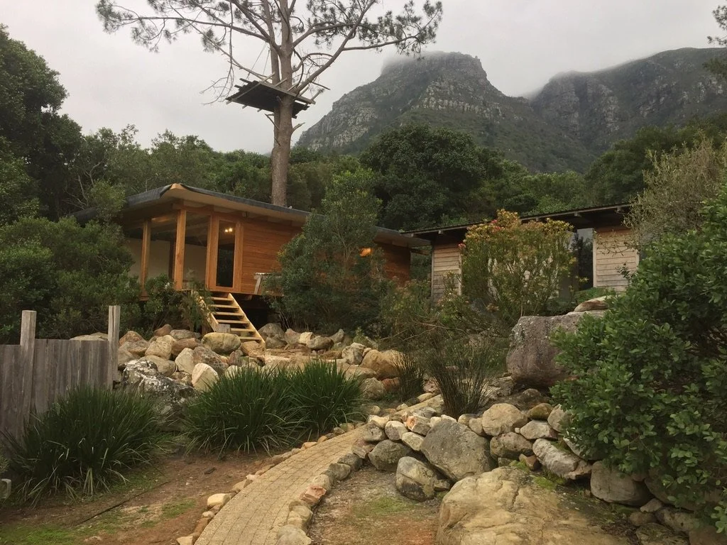 Wellness Connection Studio 