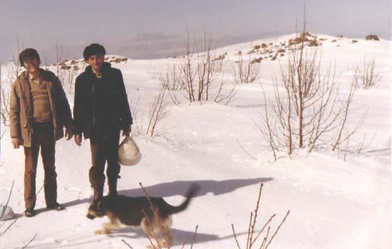 farminwinterb.jpg
