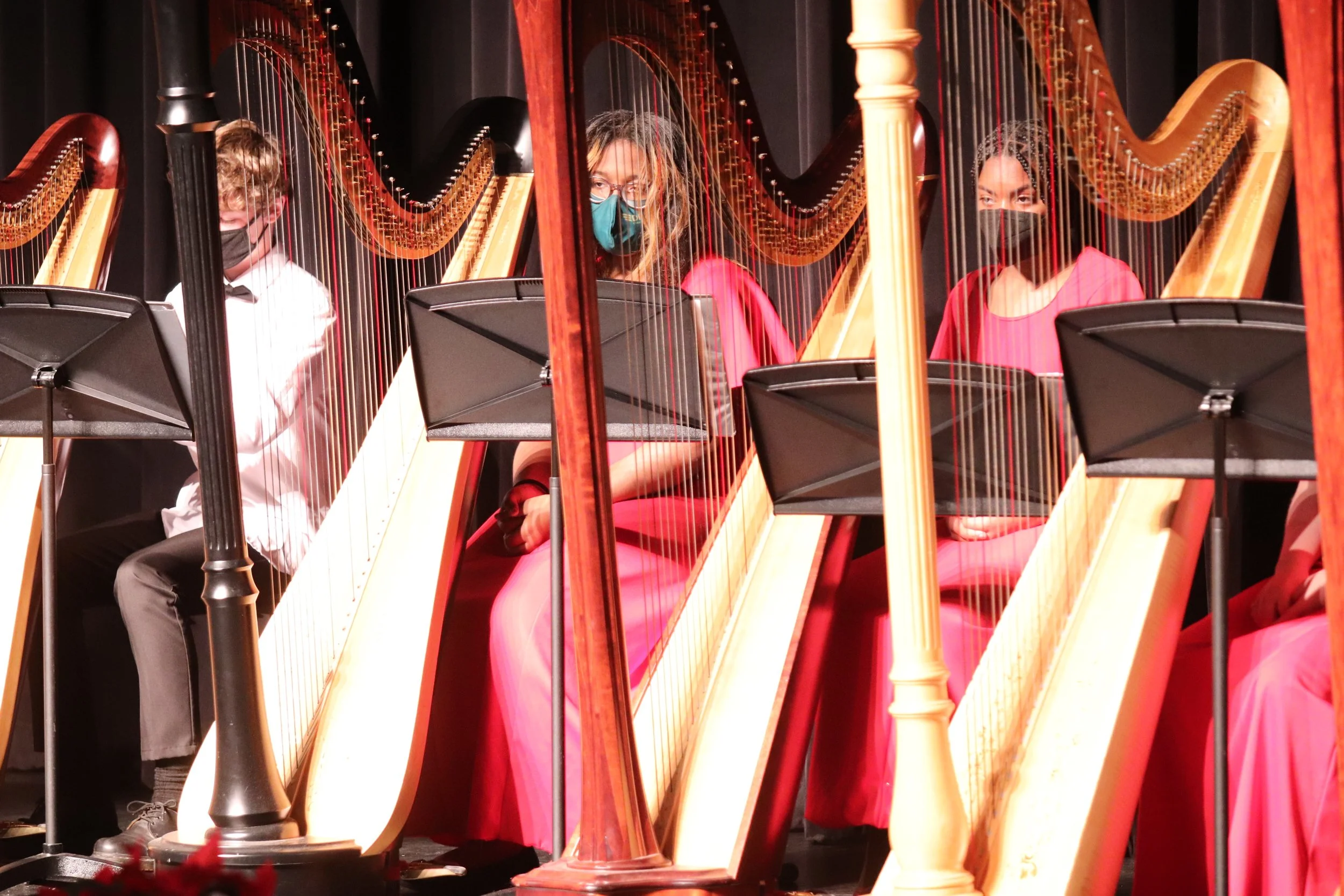 URBAN YOUTH HARP ENSEMBLE