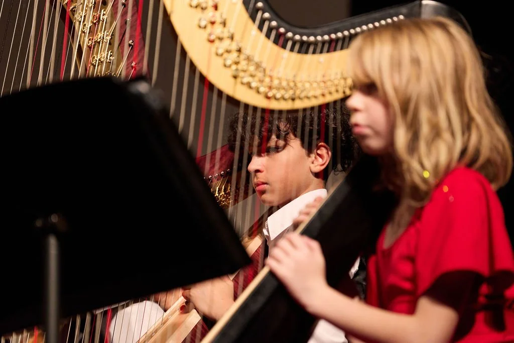 winterharpconcert2025-016.JPG