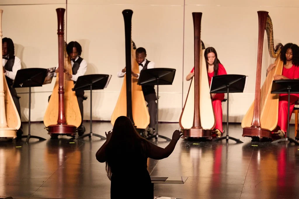 Urban Youth Harp Emsemble