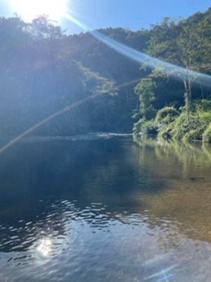 IMG_1367.jpg