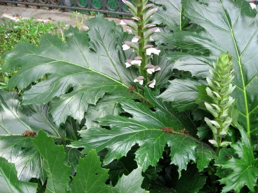 Weidemann Art Tour Page 3 — Michigan State Capitol